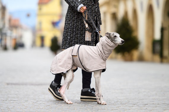 Concha de de invierno casual abrigos de galgos - Etsy España