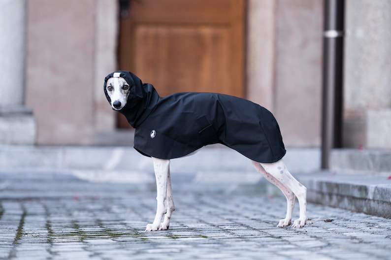 Raincoat Shell Light, greyhound coats, whippet coats, iggy coats,italiangreyhound coats image 2