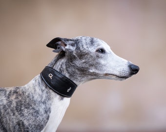 Black Elegance Wide Collar