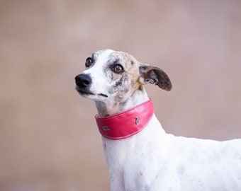 Pearl Pink Wide Collar