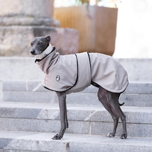 May include: A grey Italian Greyhound dog wearing a beige, high-neck dog coat with black trim and a small circular logo on the side. The coat features a wrap-around design that covers the torso and neck, providing a snug fit for the slender canine.