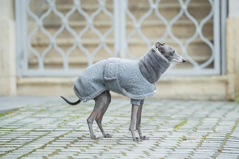 Zimowy płaszcz Iggy Whippet Cable Knit Dog Wear Sighthound Breed Faux Fur Warm Clothing Dopasowany styl Niestandardowy haft Prezent dla miłośników szczeniąt zdjęcie 2