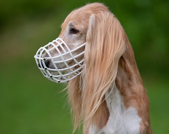 Muzzle Sighthound