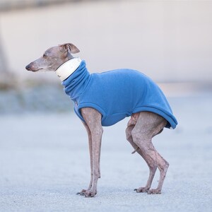 Soft Stretchy Sweater Whippet Pullover Greyhound Clothing Thermal Protection Winter Wear Cozy Outfit Hound Comfort Jumper Design Lightweight Material Quality Construction Sighthound Wardrobe Essential Italian Greyhound Vest Iggy Apparel