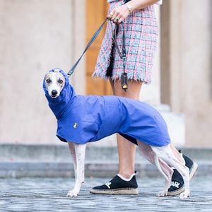 Waterproof Dog Coat for Whippet Rain Protection for Italian Greyhound Walking Gear Iggy Coat Leash Opening Chest Coverage Reflective Design
