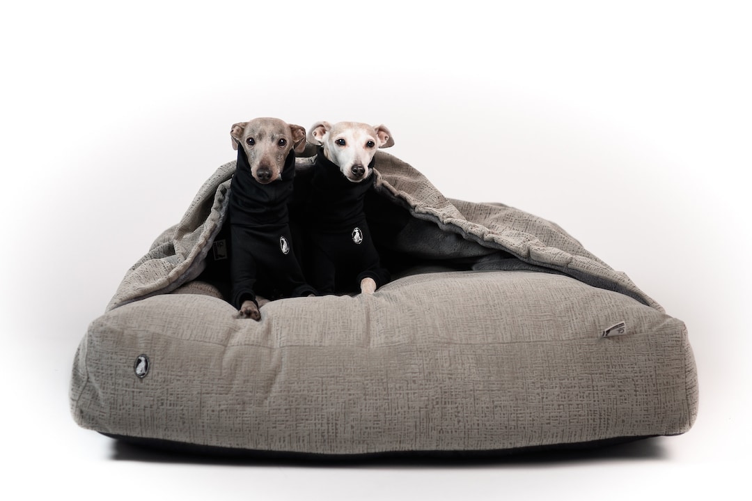 Bed Cocoon Eleganza, Sighthounds Bed, Whippet, Iggy, Saluki, Galgo