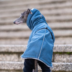May include: A blue dog hoodie with a high neck and a light gray fleece lining. The garment features a black harness strap across the back and white piping along the seams. The hoodie is worn by a gray dog with a slender build and pointed ears.
