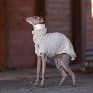 Pulôver para Whippet Iggy, suéter para galgo, roupa Galgo, suéter quente e macio para cachorro, roupa de inverno, suéter peludo, presente para amantes de cães