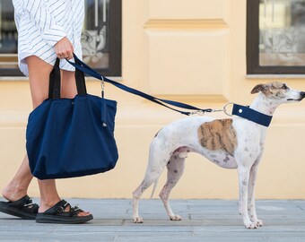 Blue Leash