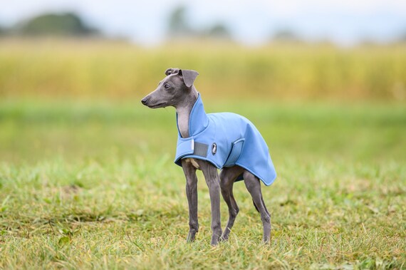 Italian Greyhound Zip Up Hoodie - Men's Green Italian Greyhound Zip Up Hoodie - Men's Green