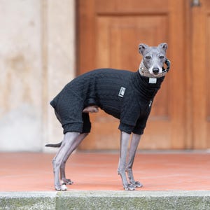 onesi Italian greyhound warm jumpsuit iggy whippet soft overall iggy pajama whippet jumper greyhound overall brades JACQUARD short sleeves