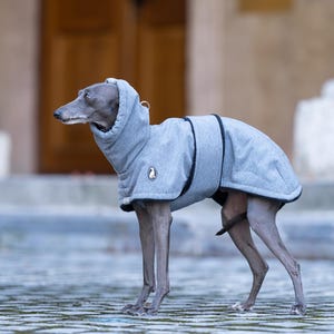 May include: A grey dog coat with a high collar and hood, featuring black trim along the edges and a small circular patch on the side. The garment is designed to cover the torso and neck, providing a snug fit with visible stitching details.