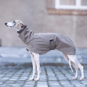 May include: A white dog wearing a brown dog coat with a black zipper and a black collar. The dog is standing on a grey cobblestone surface.