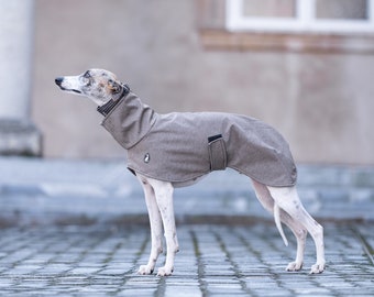 Lux Jacket S.M., greyhound jacket, whippet jacket, iggy jacket,italiangreyhound jacket, saluki jacket