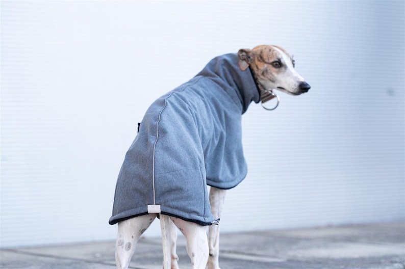 May include: A grey dog coat with a high collar and black trim, featuring a textured fabric finish and a small rectangular tag at the hem. The garment covers the back and neck of a brindle and white dog wearing a metal collar with a ring attachment.