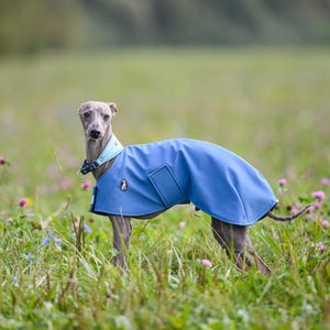 Giacca antipioggia per levrieri, compatibile con la museruola, abbigliamento da corsa per whippet, equipaggiamento protettivo, giacca a vento morbida lavabile, abbigliamento da corsa