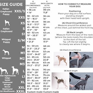 May include: A size guide chart for dogs featuring a table with chest circumference and back length measurements in cm and inches. It includes breed categories like Italian Greyhound and Whippet, plus instructional photos for measuring a dog.