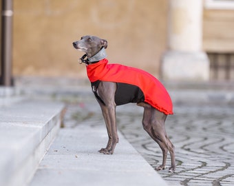 La Sportiva, greyhound coats, whippet coats, iggy coats,italiangreyhound coats