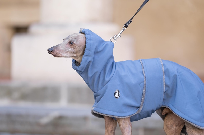 Winter Dog Jacket Sighthound Custom Design Waterproof Soft Shell Construction Warm Fleece Interior Lining Cold Weather Protection Greyhound Whippet Apparel Reflective Safety Elements High Collar Feature Leash Opening Access Covered Chest