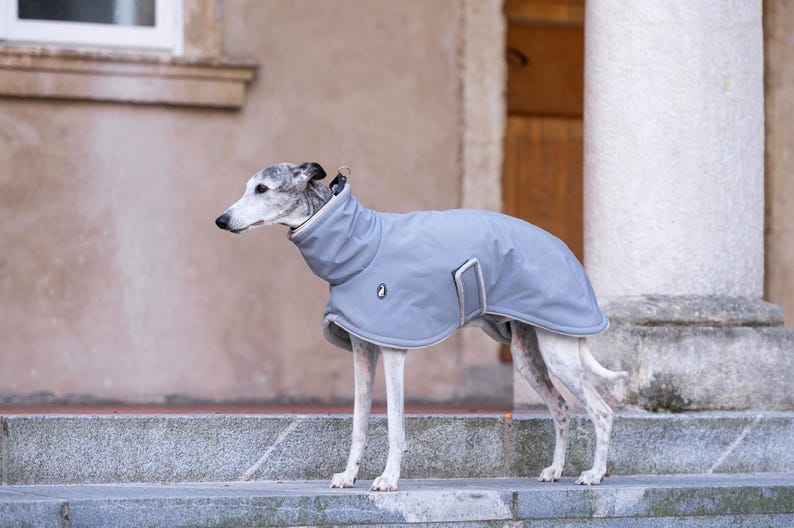 Versatile Dog Jacket Whippet Winter Coat Double Layer Construction Fleece Lined Interior Waterproof Exterior Protection Windproof Barrier Technology Reflective Safety Elements Easy Maintenance Design Cold Weather Essential Breathable