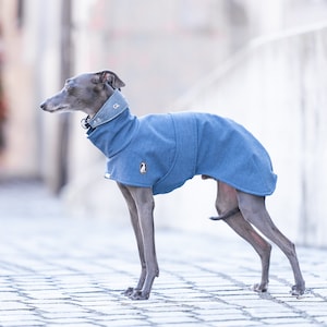 Waterproof Sighthound Jacket Premium Walking Gear Winter Protection Layer Custom Name Embroidery Weather Resistant Shell Reflective Safety Features Adjustable Neck Design Harness Opening Style Soft Fleece Interior Breathable Construction