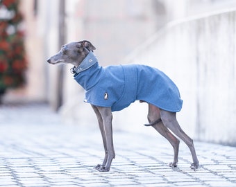 Casual Jacket S.M., greyhound jacket, whippet cjaket, iggy jacket,italiangreyhound jacket, saluki jacket