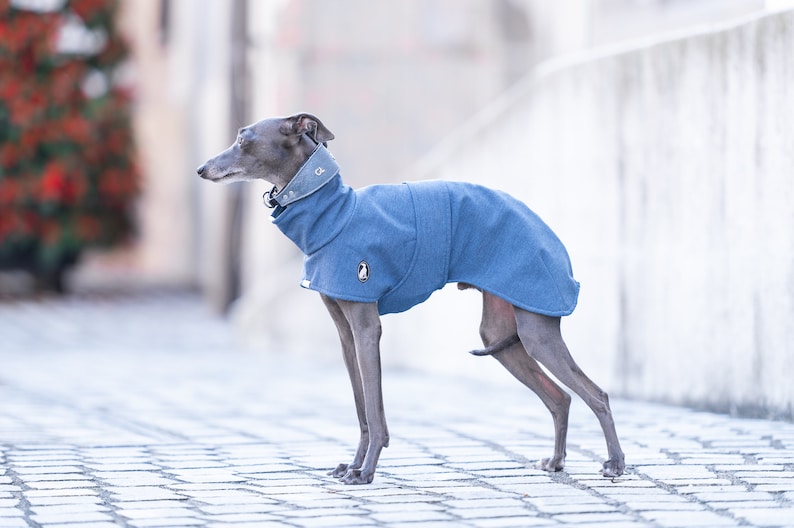 Waterproof Sighthound Jacket Premium Walking Gear Winter Protection Layer Custom Name Embroidery Weather Resistant Shell Reflective Safety Features Adjustable Neck Design Harness Opening Style Soft Fleece Interior Breathable Construction
