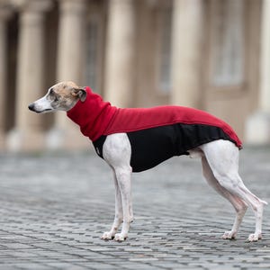 Iggy warm sweater whippet jumper Italian greyhound clothing iggy jumper greyhound warm vest iggy pullover galgo sweater gift for dogs SOFT