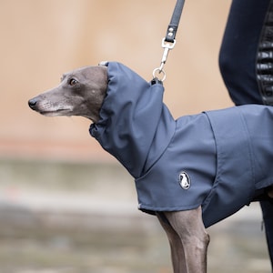 Può includere: Un levriero italiano grigio indossa un impermeabile blu scuro con cappuccio e una piccola toppa circolare con logo sul lato. Il cappotto presenta un cappuccio a collo alto e una consistenza liscia e idrorepellente, fissato a un anello a D.