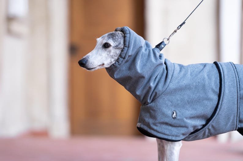 May include: A grey dog coat with a high neck hood and a small circular logo patch on the side. The garment is made of a smooth, solid-colored fabric and features a black leash attachment point at the collar area, worn by a grey and white dog.