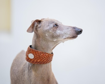 Genuine snake skin leather Wide collar Brown