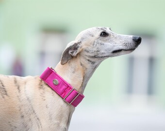 Martingale (Pull-stop) or Adjustable Collar Fushia