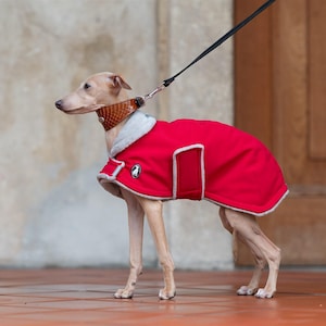 Whippet Winter Coat Double Layer Fleece Lined Waterproof Jacket Windproof Protection Reflective Wear Breathable Fabric Luxury Pet Clothing image 11