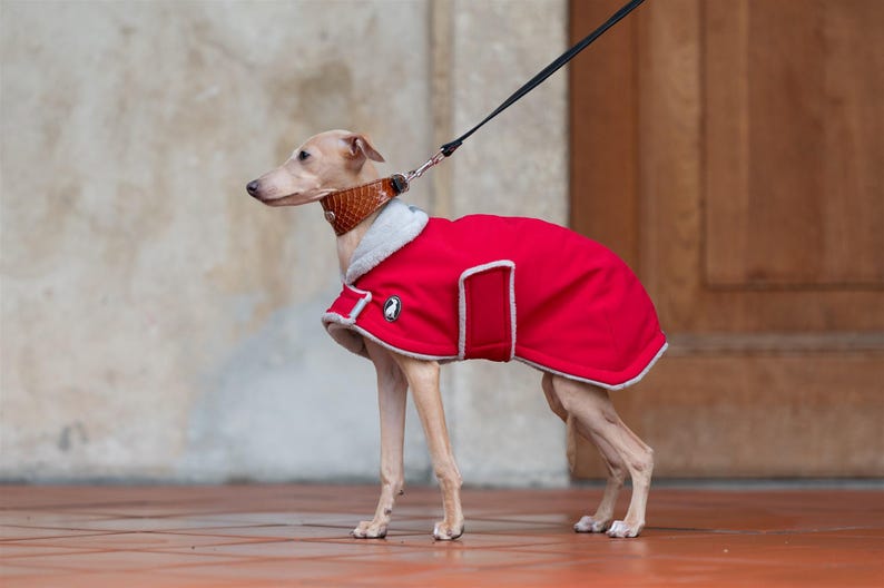 Whippet Winter Coat Double Layer Fleece Lined Waterproof Jacket Windproof Protection Reflective Wear Breathable Fabric Luxury Pet Clothing image 11