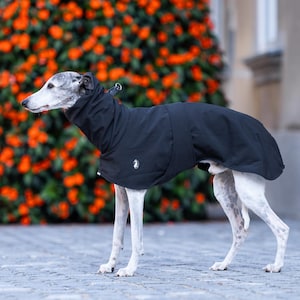 Pu&ograve; includere: Un levriero indossa un cappotto per cani nero a tinta unita con colletto alto. Il cappotto presenta un piccolo logo bianco sul lato e copre la schiena e il petto. Il cane ha una corporatura snella con zampe maculate di bianco e grigio.