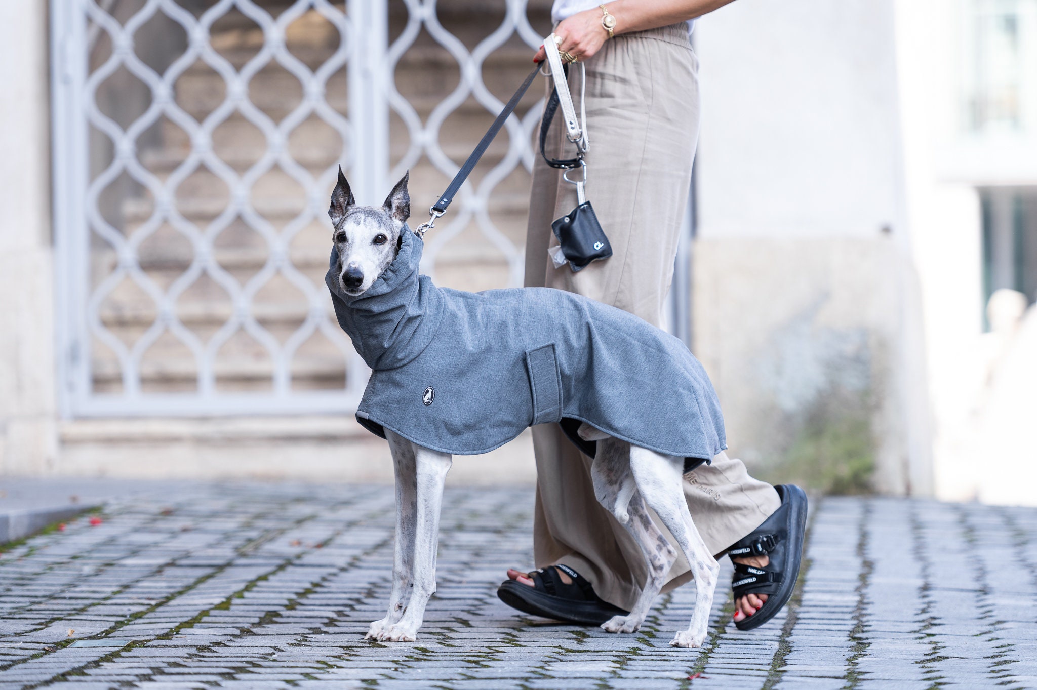 Greyhound raincoat top