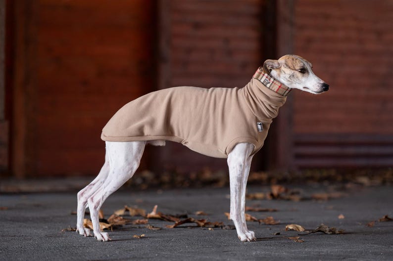 Premium Pet Gift Whippet Warm Pullover Soft Sweater Greyhound Clothing Thermal Protection Lightweight Design Cozy Outfit Stretchy Material Winter Wear Quality Construction Comfortable Garment Italian Greyhound Vest Sighthound Wardrobe