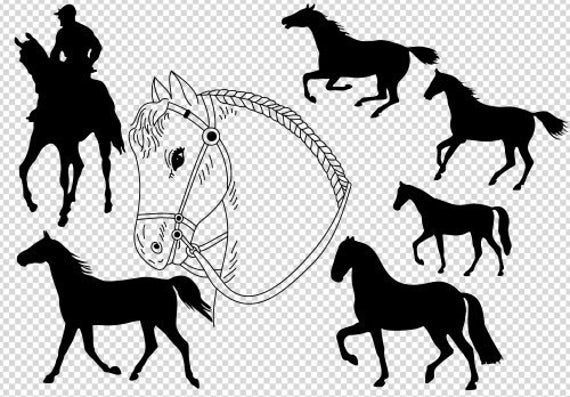Horse Svg Horse Silhouette Horse Head Svg Horses Clipart Etsy