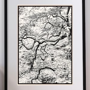 Puede incluir: Impresión enmarcada en blanco y negro de un árbol con ramas retorcidas y hojas detalladas. La obra de arte es un primer plano de la estructura del árbol, con un enfoque en los intrincados patrones de las ramas y el follaje.