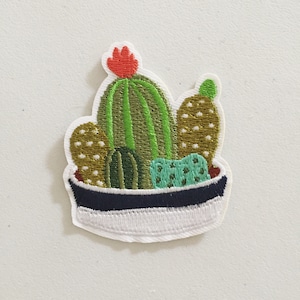 Toppa termoadesiva con piante grasse in vaso, stemma con pianta grassa, stemma con cactus, ricamo fai da te, stemma ricamato, applicazione ricamata, motivo con cactus