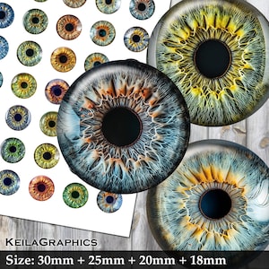 Olhos de boneca realistas - Folha de colagem digital - Círculo 30mm + 25mm + 20mm + 18mm - Download instantâneo de imagem para impressão - Carta dos EUA + formato A4