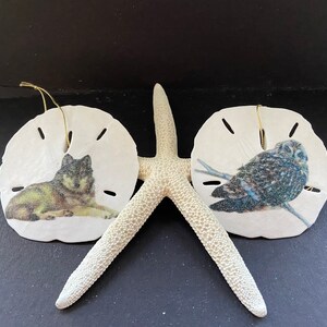 May include: Two sand dollar ornaments with wildlife images, a wolf and an owl, are displayed with a white starfish. The ornaments have gold string hangers. The background is black.