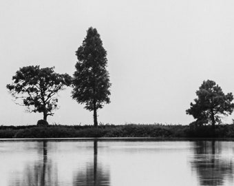 Impresión fotográfica del paisaje, arte de la pared B&W, decoración en blanco y negro, fotografía de bellas artes // un reflejo de los árboles
