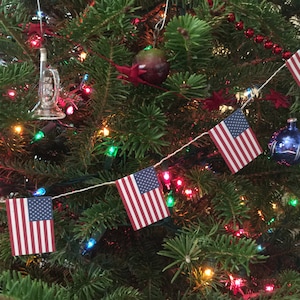 May include: A decorated Christmas tree with a garland of American flags and colorful lights. A clear glass trumpet ornament hangs from a branch. A blue ornament and red beaded garland add to the festive decor.