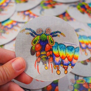 STICKER - Peacock Mantis Shrimp Hand Embroidery Hoop Sticker - Rainbow Sea Life Marine Biology Stitched Art