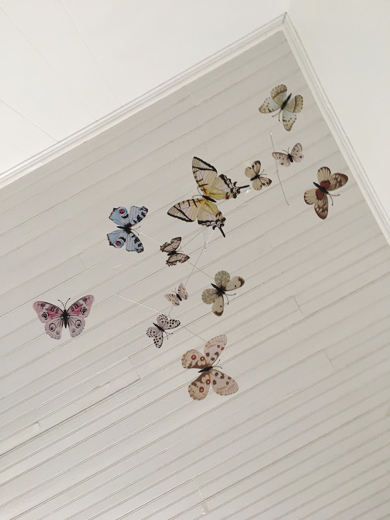 May include: A collection of decorative butterfly ornaments in various sizes and colors, suspended from thin wires against a white, slatted ceiling. The butterflies feature detailed wing patterns in shades of pink, brown, yellow, and blue.