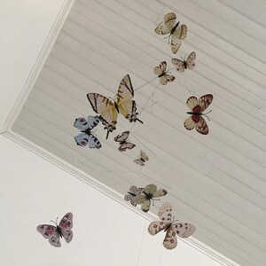 May include: A mobile featuring various butterfly designs in shades of white, cream, brown, pink, and blue. The butterflies are suspended from thin wires against a white, slatted ceiling, creating a whimsical, decorative accent.