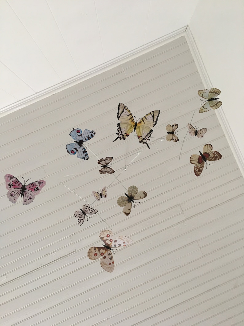 May include: A collection of decorative butterfly ornaments in various sizes and colors, suspended from thin strings against a white, slatted ceiling. The butterflies feature detailed wing patterns in shades of pink, blue, brown, and cream.