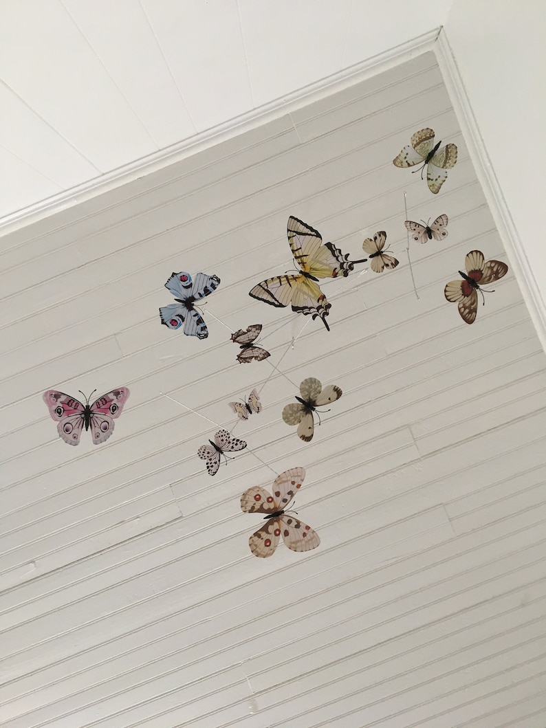 May include: A collection of decorative butterfly ornaments in various sizes and colors, suspended from thin wires against a white, slatted ceiling. The butterflies feature detailed wing patterns in shades of pink, blue, brown, and cream.