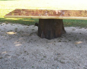 Stump Table, Cedar Top With Custom Metal Trunk, Cedar Dining Table, Cedar Stump Table, Live Edge Table, Cedar Table, Conference Table